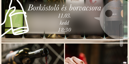 11/03 KisBécs borkóstoló - BORSOR